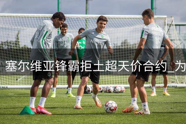 塞尔维亚锋霸拒土超天价合约 为圆诺坎普梦甘当莱万接班人