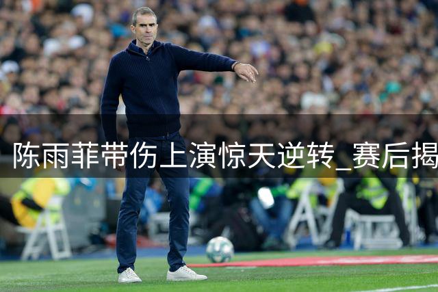 陈雨菲带伤上演惊天逆转 赛后揭秘三天火线复出内幕